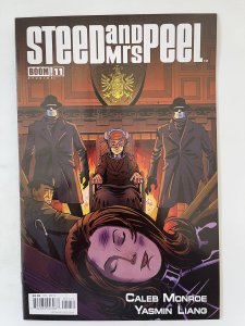 Steed and Mrs. Peel #11 - NM+ (2013)