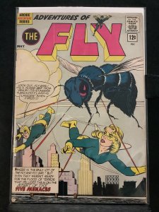 The Adventures of the Fly #19 (1962)