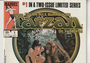 Tarzan of the Apes # 1,2  Edgar Rice Buroughs' Most Popular Character !