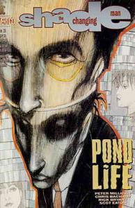 Shade, The Changing Man (2nd Series) #39 VF ; DC | Peter Milligan Vertigo