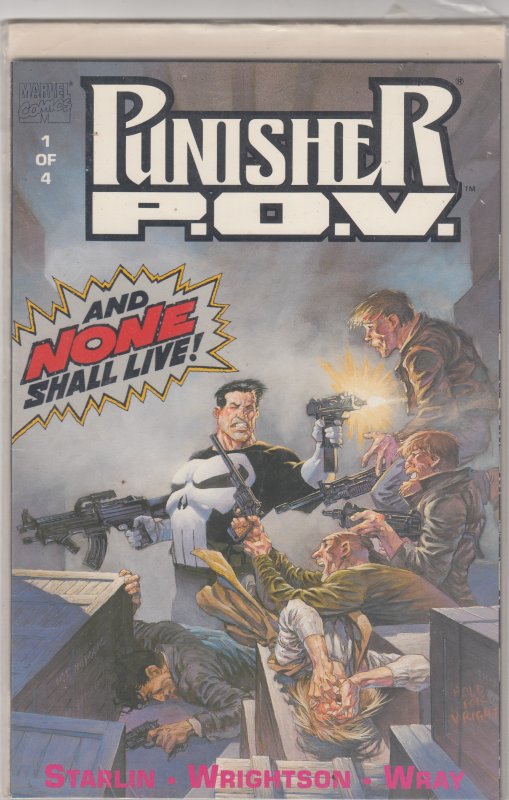 The Punisher: P.O.V. #1 (1991)