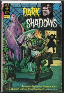 Dark Shadows #22 (1973) Dark Shadows