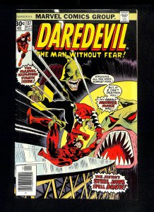 Daredevil #137