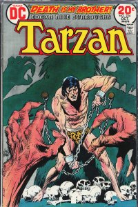 Edgar Rice Burroughs' Tarzan #224 (1973)