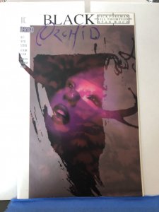 Black Orchid #1 (1993)