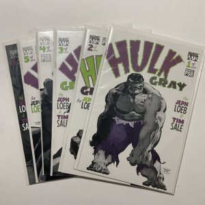 Hulk Gray 1 2 3 4 5 6 lot run set Near Mint Nm Marvel 