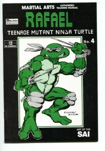 TEENAGE MUTANT NINJA TURTLES Martial Arts Training #4 Rafael-comic book
