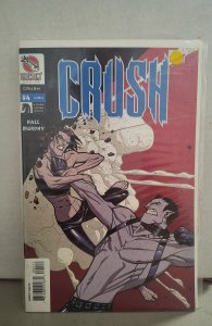 Crush #4 (2004). H07