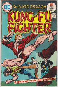 Richard Dragon Kung-Fu Fighter #2