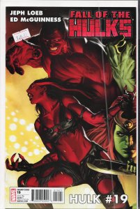 Hulk #19 Variant Cover (2010) Hulk