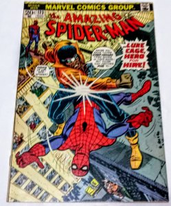 Amazing Spider-Man #123 (7.0) 1973 Luke Cage Power Man Marvel ID#68L