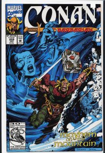Conan the Barbarian #259 (1992) Conan