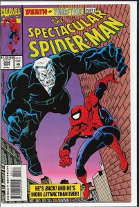 The Spectacular Spider-Man #204 (1993) Spider-Man