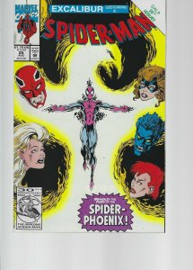 Spider-Man #25