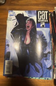 Catwoman #45 (2005) Catwoman 