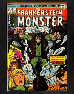 Frankenstein #12