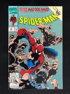 Spider-Man #29 (1992)