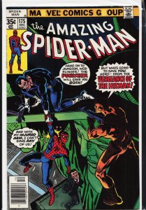 The Amazing Spider-Man #175 (1977) Spider-Man