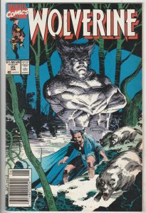 Wolverine #25 (Jun-90) VF/NM High-Grade Wolverine