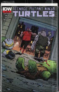 Teenage Mutant Ninja Turtles #44 (2015)