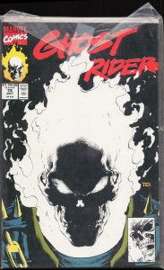 Ghost Rider #15 (1991) Ghost Rider