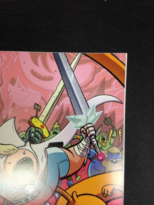 Adventure Time 21 NM Cover C Virgin Variant