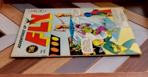 Adventures of THE FLY #24 VG (Archie Comics 1963) The Shock of the Fly World 