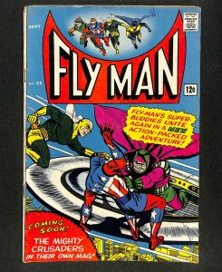 Adventures of the Fly #33