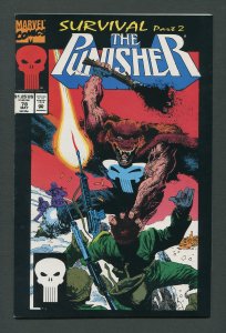 Punisher #77  #78  #79 (Survial SET) 8.0 VFN 1993