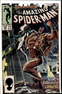 The Amazing Spider-Man #293 (1987) Spider-Man