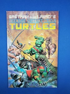 TMNT 33 VF RICHARD CORBEN 1990