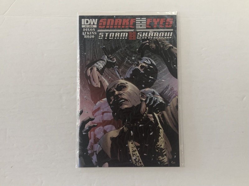 *Snake Eyes + Storm Shadow (2012 IDW) 13-21 | 10 High Grade books total! 