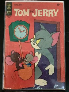 Tom and Jerry #256