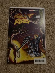 Ghost Rider #1 Texeira Cover (2019)