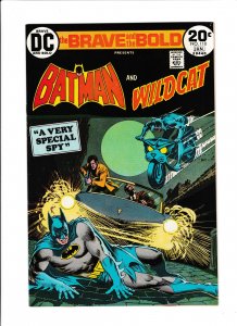 THE BRAVE & THE BOLD #110 (1974) NICK CARDY | BATMAN & WILD CAT | BRONZE AGE