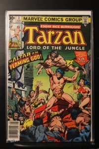 Tarzan #3 (1977)