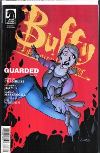 Buffy the Vampire Slayer Season Nine #13 Variant Cover (2012)