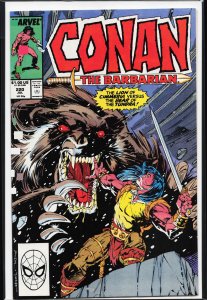 Conan the Barbarian #220 (1989) Conan