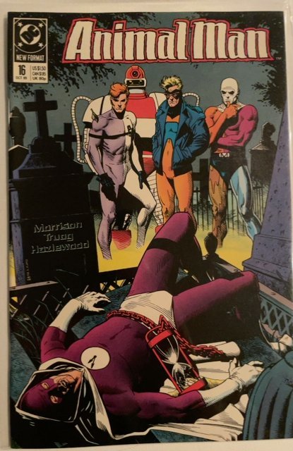 Animal Man #11-31 (1989) all high grade