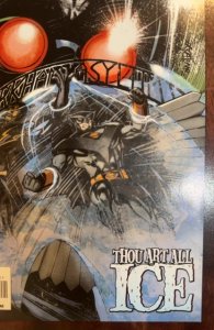 The Outsiders #21 (2009)