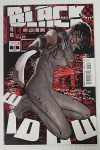 Black Widow #13 Cover A Hughes Marvel 2022 EB212