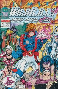 WILDCATS  25-Different, Jim Lee's 'Covert Action Team',