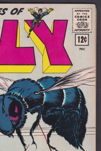 ADVENTURES OF THE FLY #19 MAY 1962 ARCHIE COMICS  VG/FN 