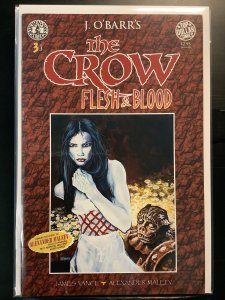 The Crow: Flesh and Blood #3 (1996)