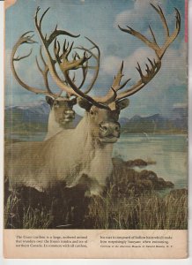 Lone Ranger(Whitman) # 2  His Most Daring Disguise !