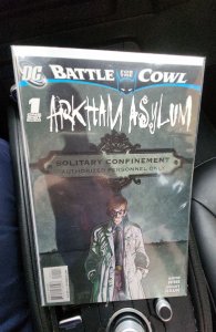 Batman: Battle for the Cowl: Arkham Asylum (2009)