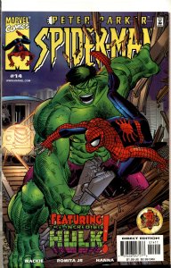 Peter Parker: Spider-Man #14 (2000) Spider-Man