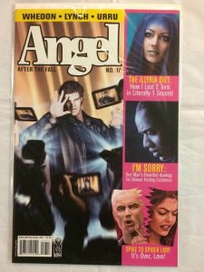 Angel - After the Fall #17 Comic Book IDW 2009