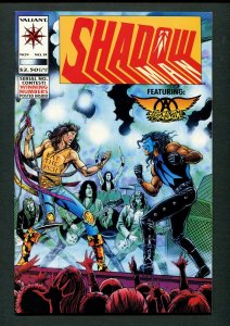 Shadowman #19 /  9.8 NM-MT  / Steven Tyler & Aerosmith / October 1993