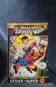 The Amazing Spider-Man #111 (1972)